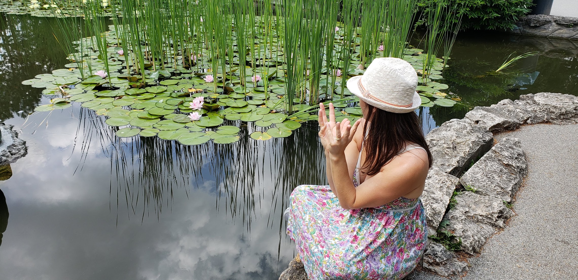 lotus waterfall transformation yoga retreats huntsville